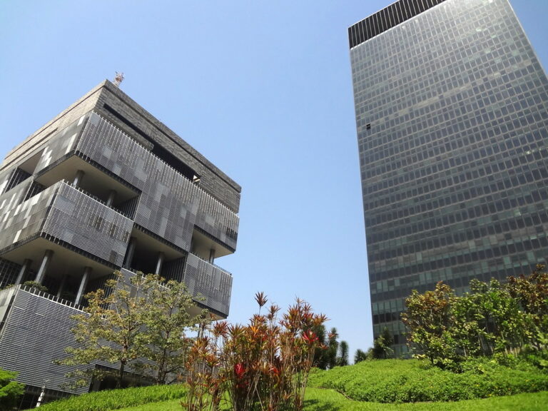 O Estado-Empresa e outros mitos neoliberais