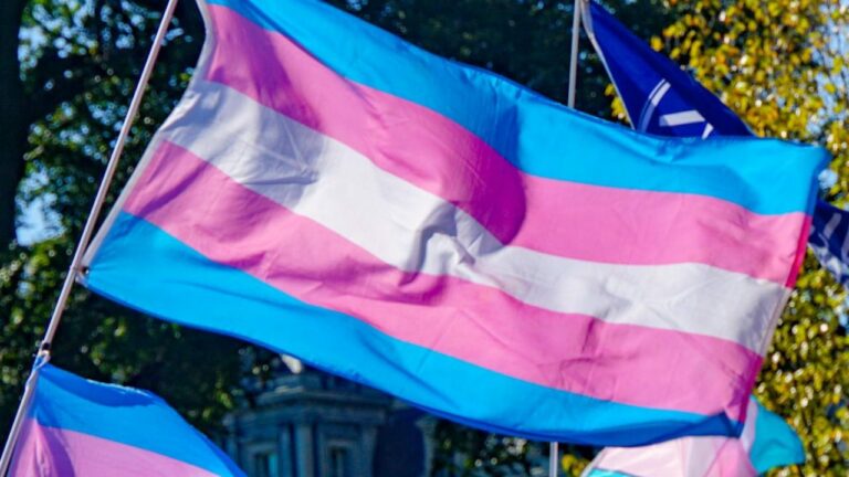 A revolução científica de Judith Butler: fundamentos para um Marxismo Transexual